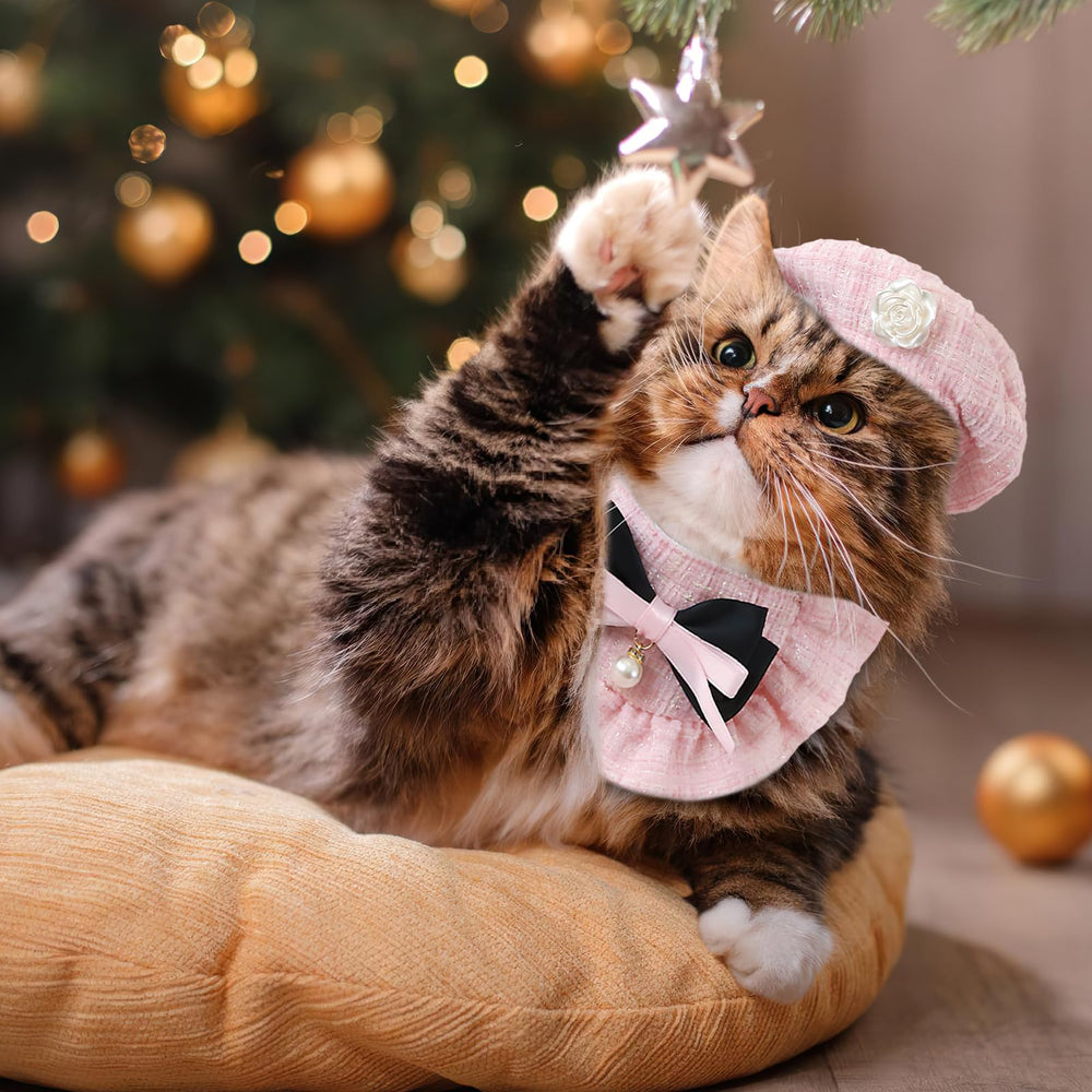 HOWWFALY guide tailles chat petit moyen: ajustement facile