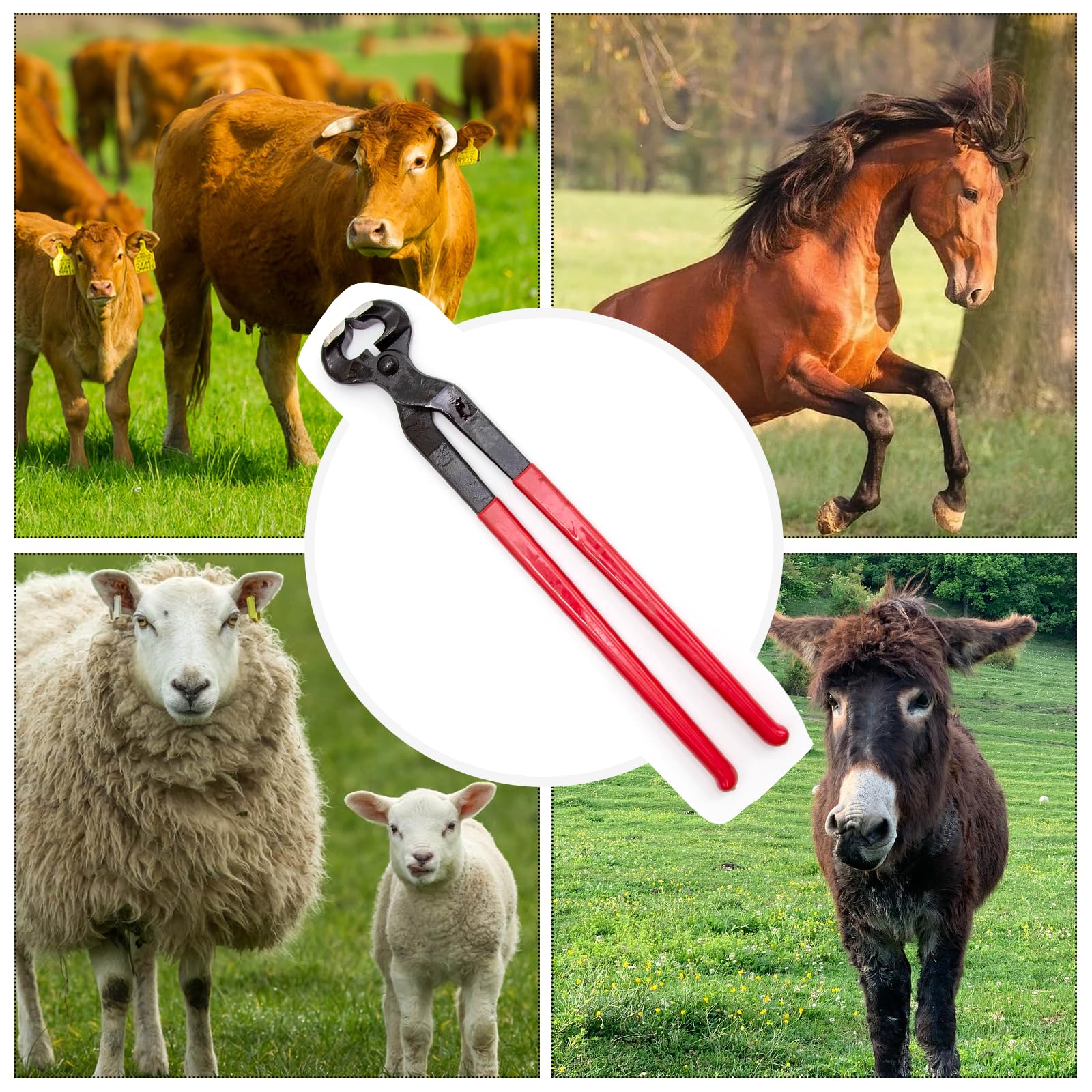 Ouverture maximale 2 pouces facilitant sabots épais avec Hoypeyfiy
