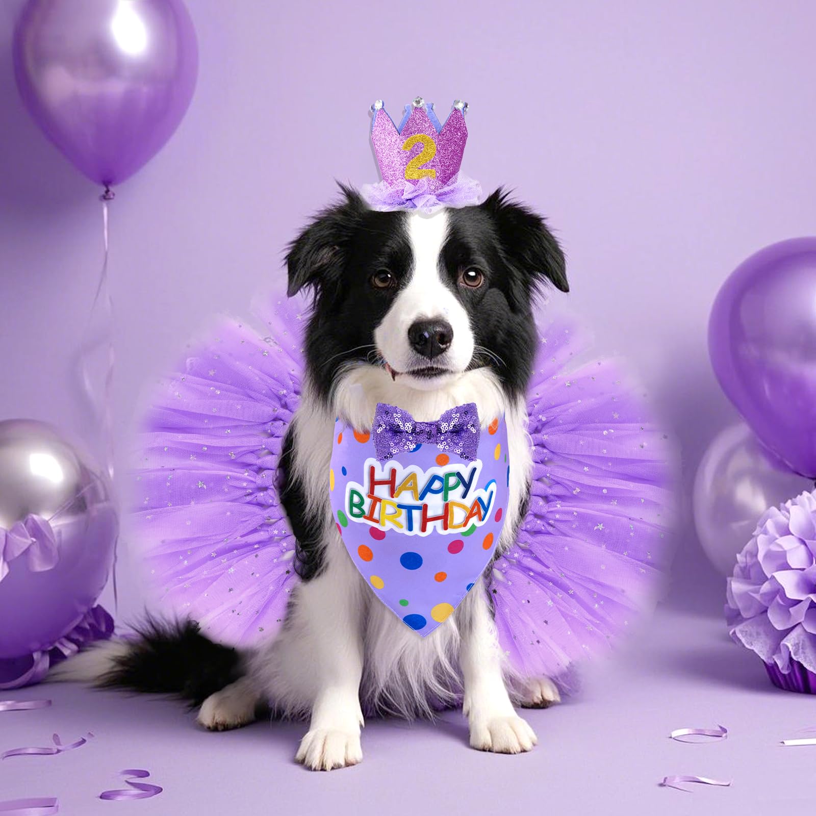 Ensemble d accessoires anniversaire Hoyuwak pour chien, kit prêt à porter.