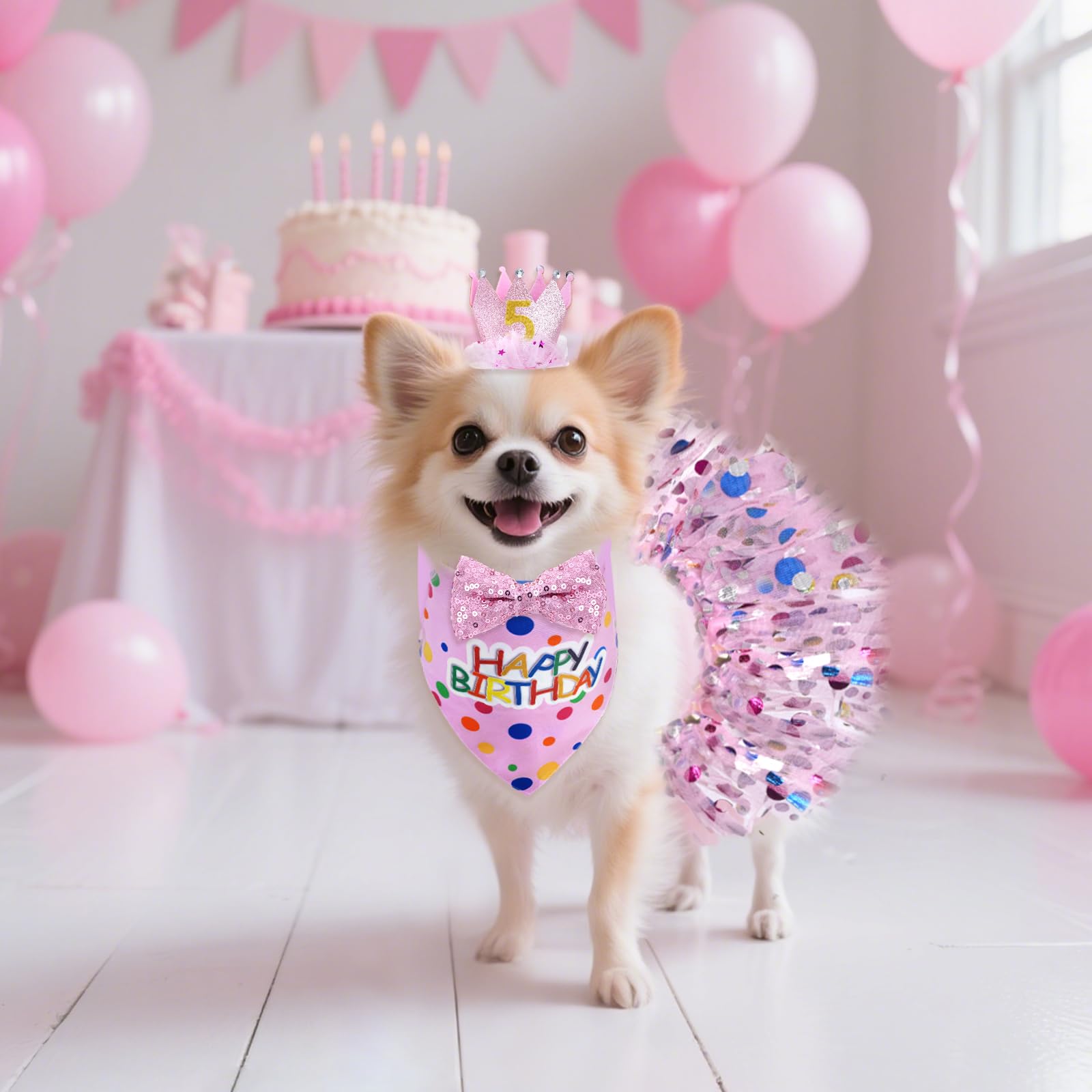 Kit anniversaire hoyuwak pour chien, ensemble complet pour photos et fêtes.