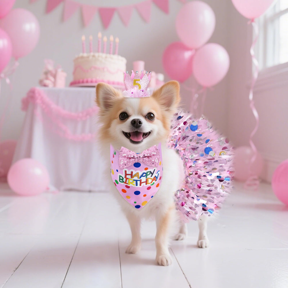 Kit anniversaire hoyuwak pour chien, ensemble complet pour photos et fêtes.