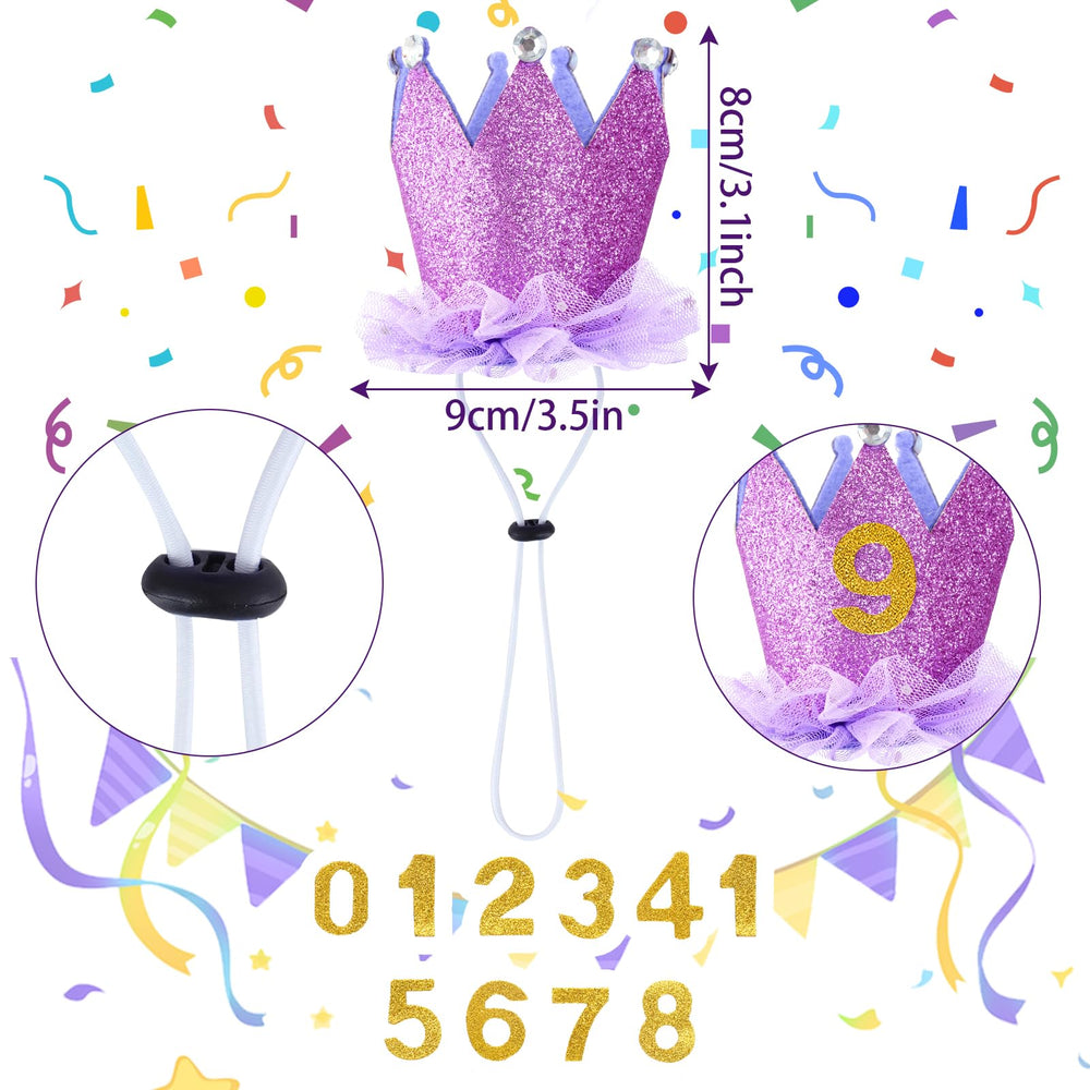 Noeud papillon anniversaire Hoyuwak pour chien, style chic et ludique.