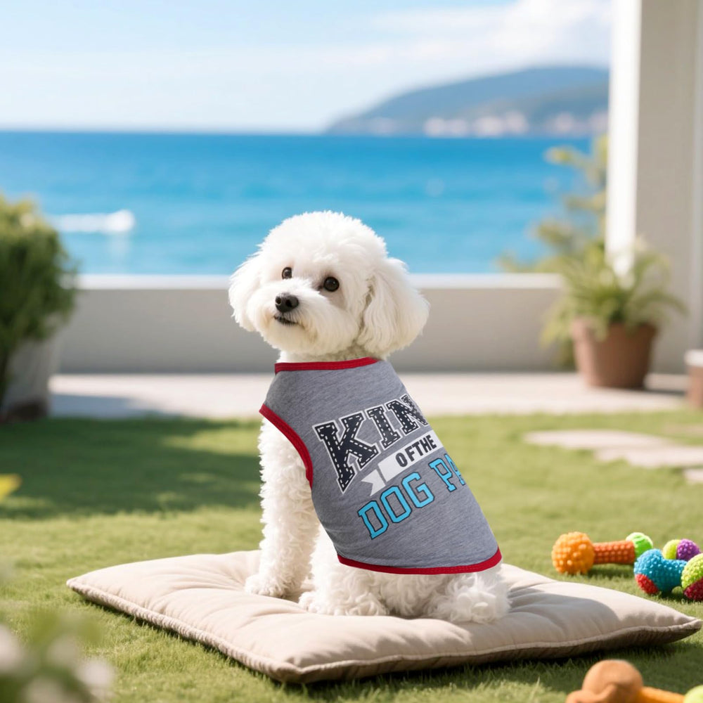 Hoyuwak sortie au parc avec t-shirt chien pour été.
