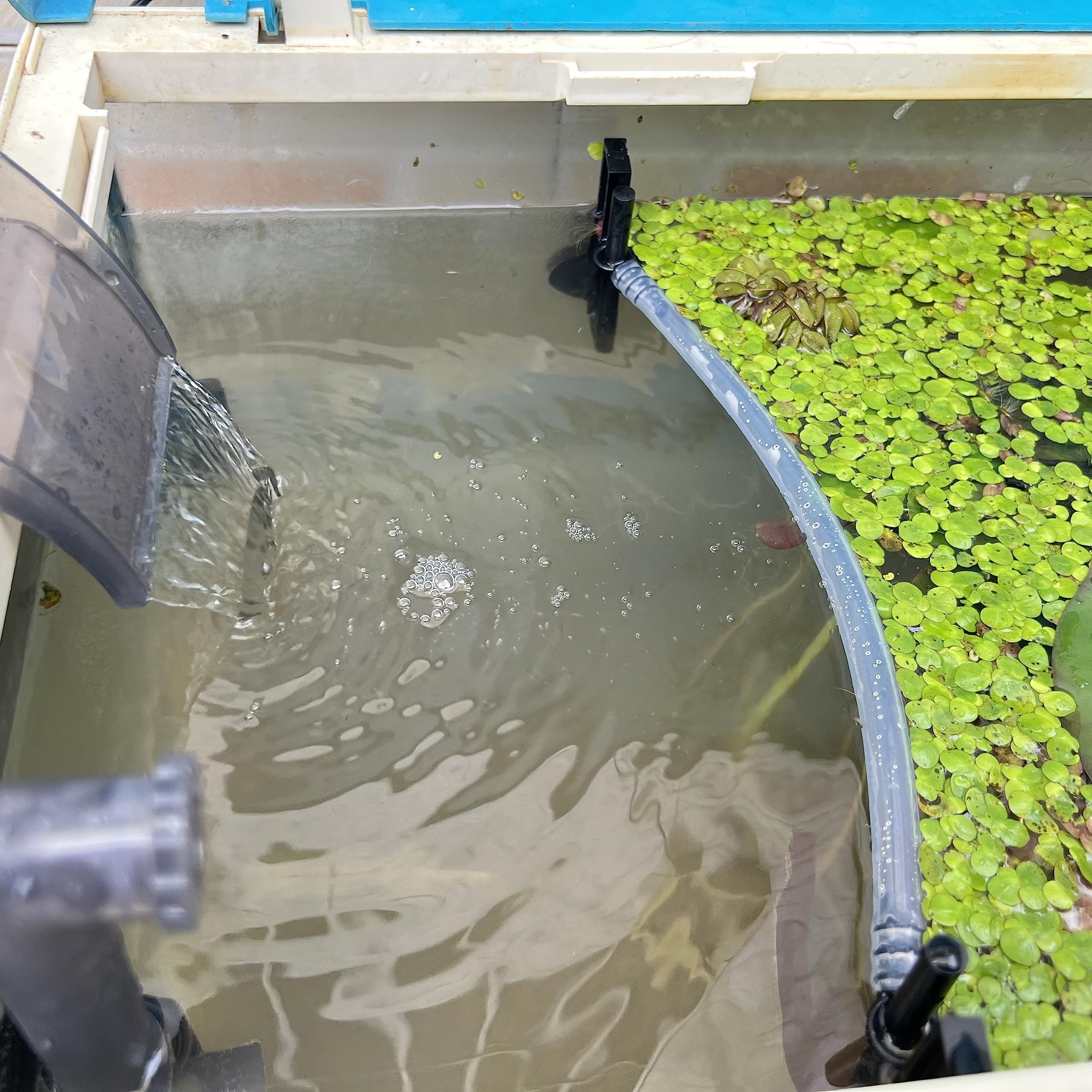 HOZOE Barrière flottante pour plantes – protège la surface et organise les plantes flottantes.