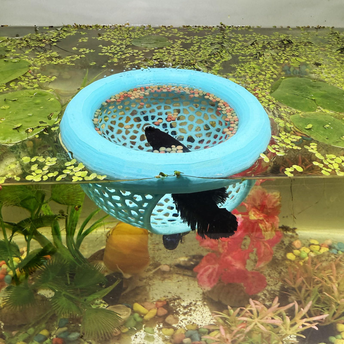 HOZOE cave flottante Betta, refuge sûr pour se cacher et se détendre dans l'aquarium.