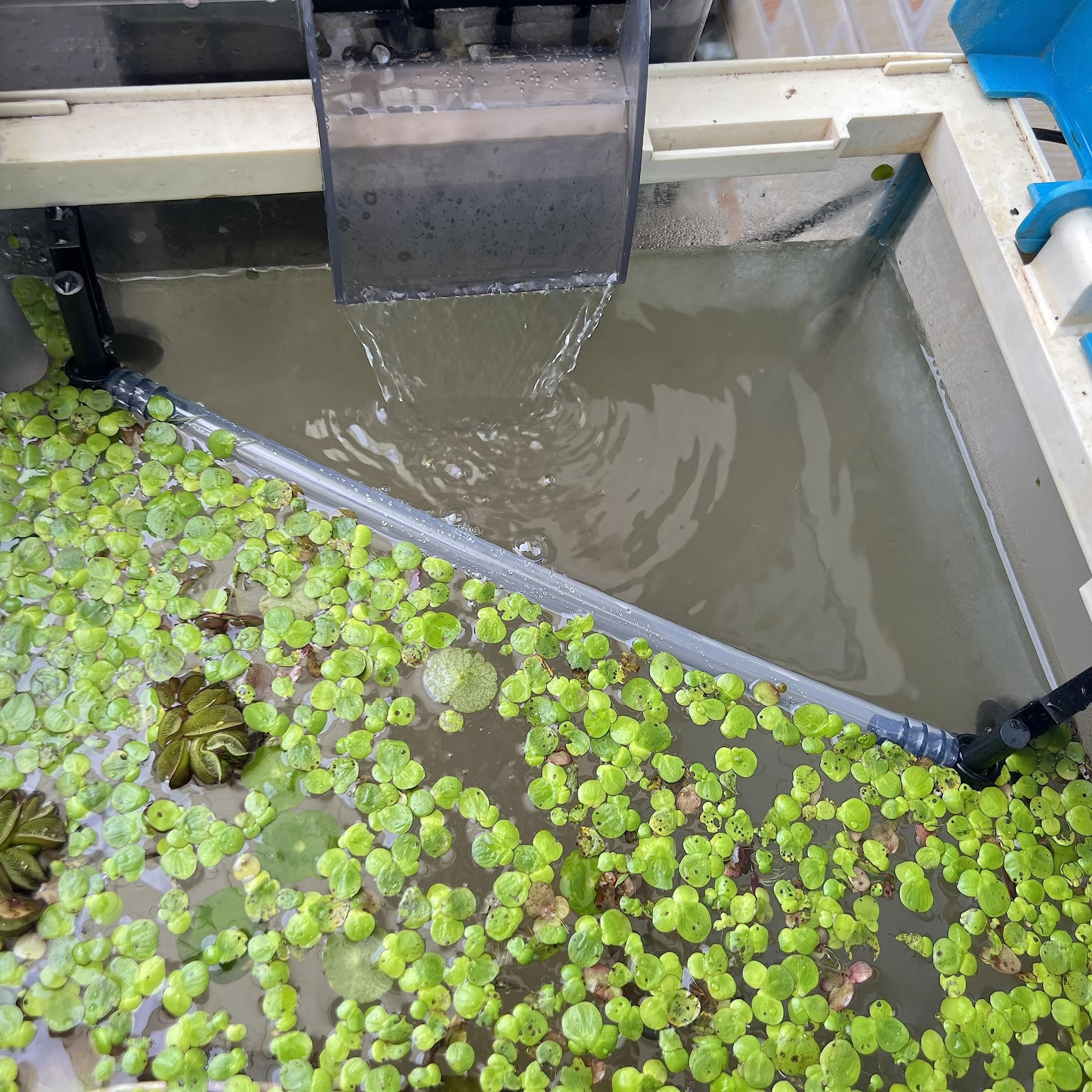 HOZOE Réglage automatique de la hauteur – s’ajuste au niveau d’eau pour un bac stable.