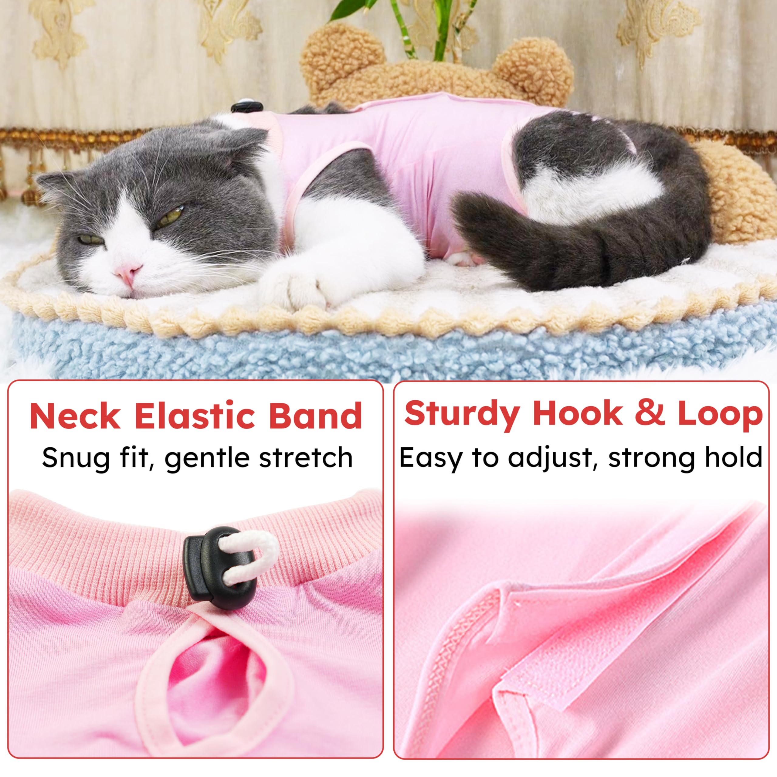 Hpetppy chat fermeture Velcro ajustable pour un ajustement personnalisé.