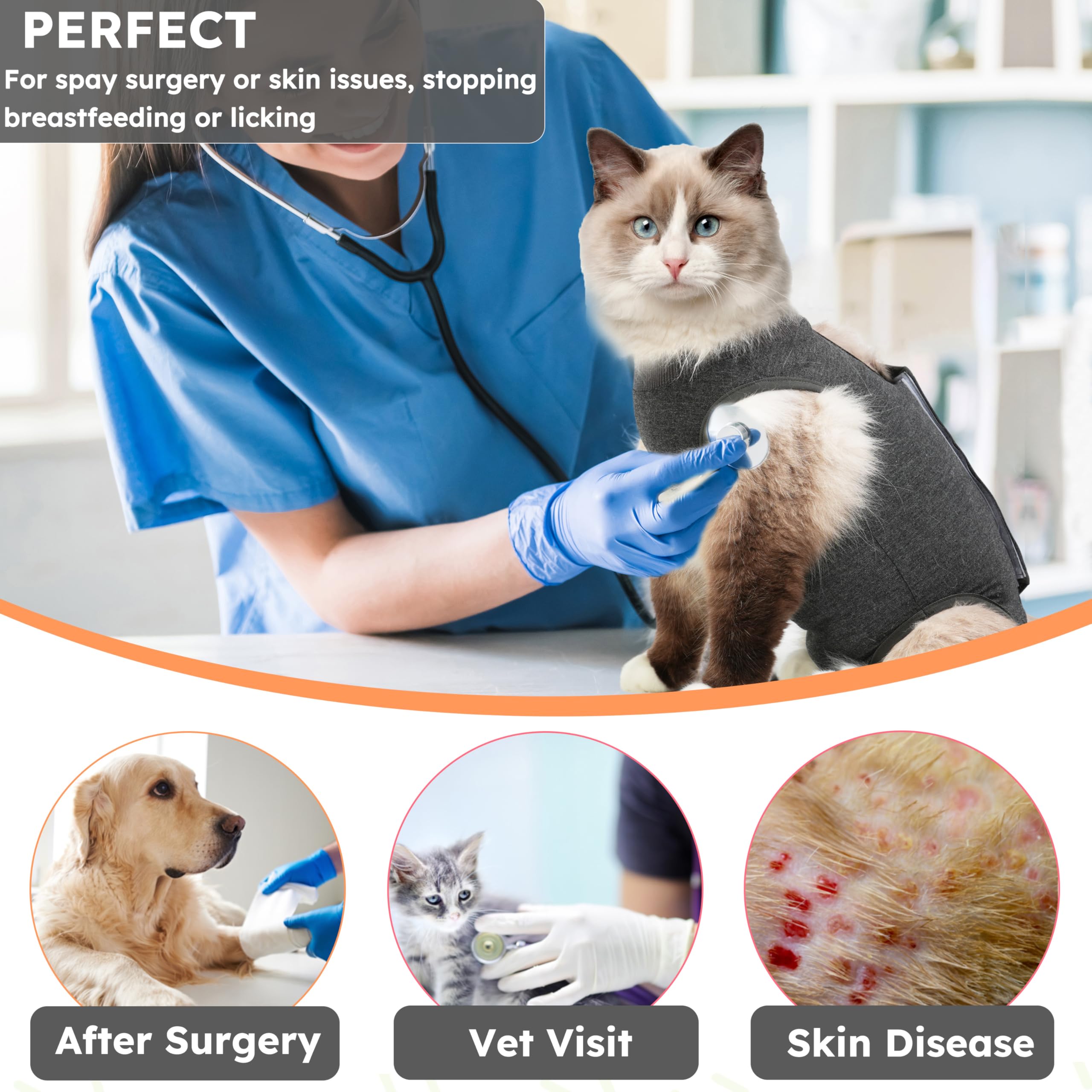 Hpetppy taille L, adapte aux chats plus lourds et actifs.