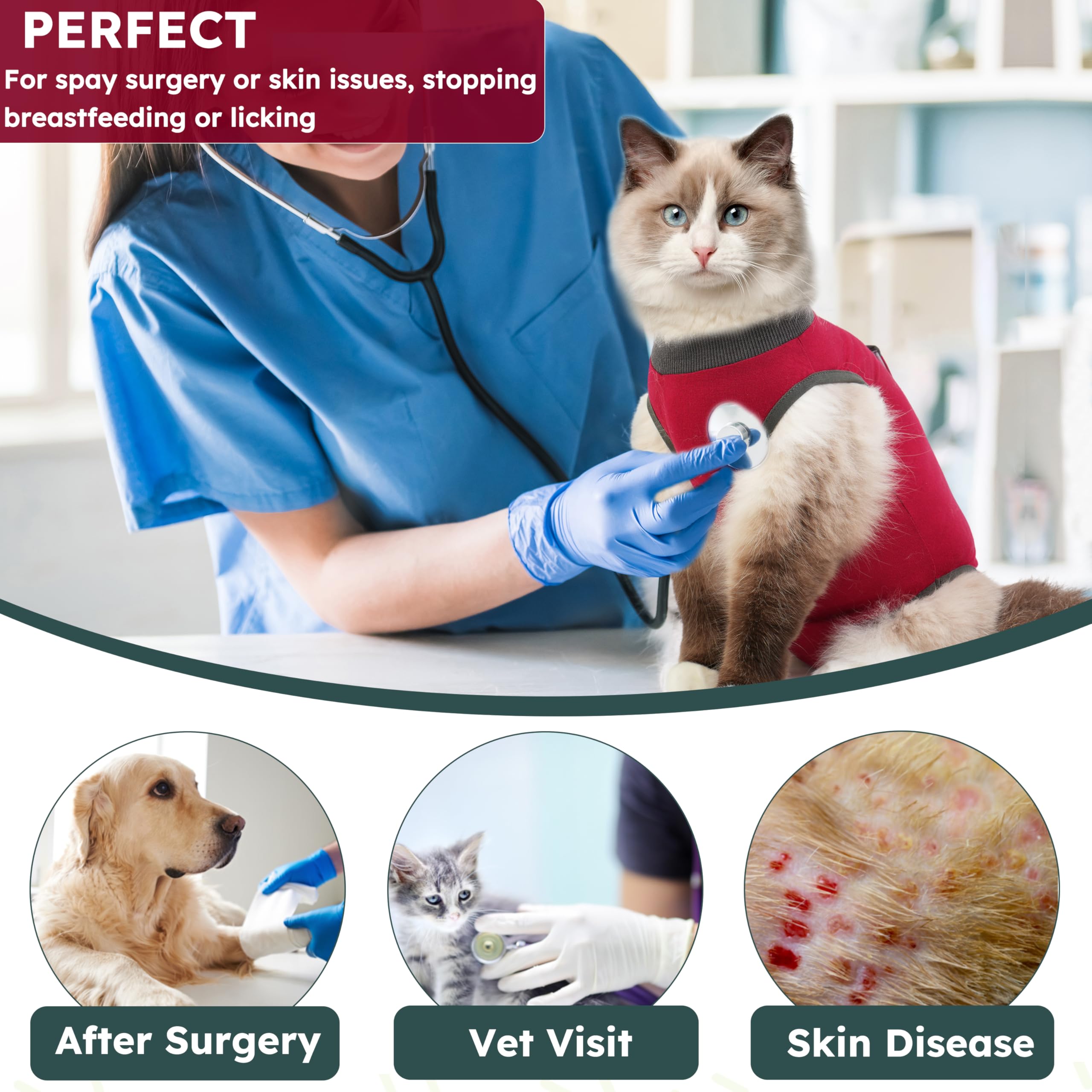 Hpetppy veste-récupération Chat – tissu respirant, porté prolongé sans gêne.