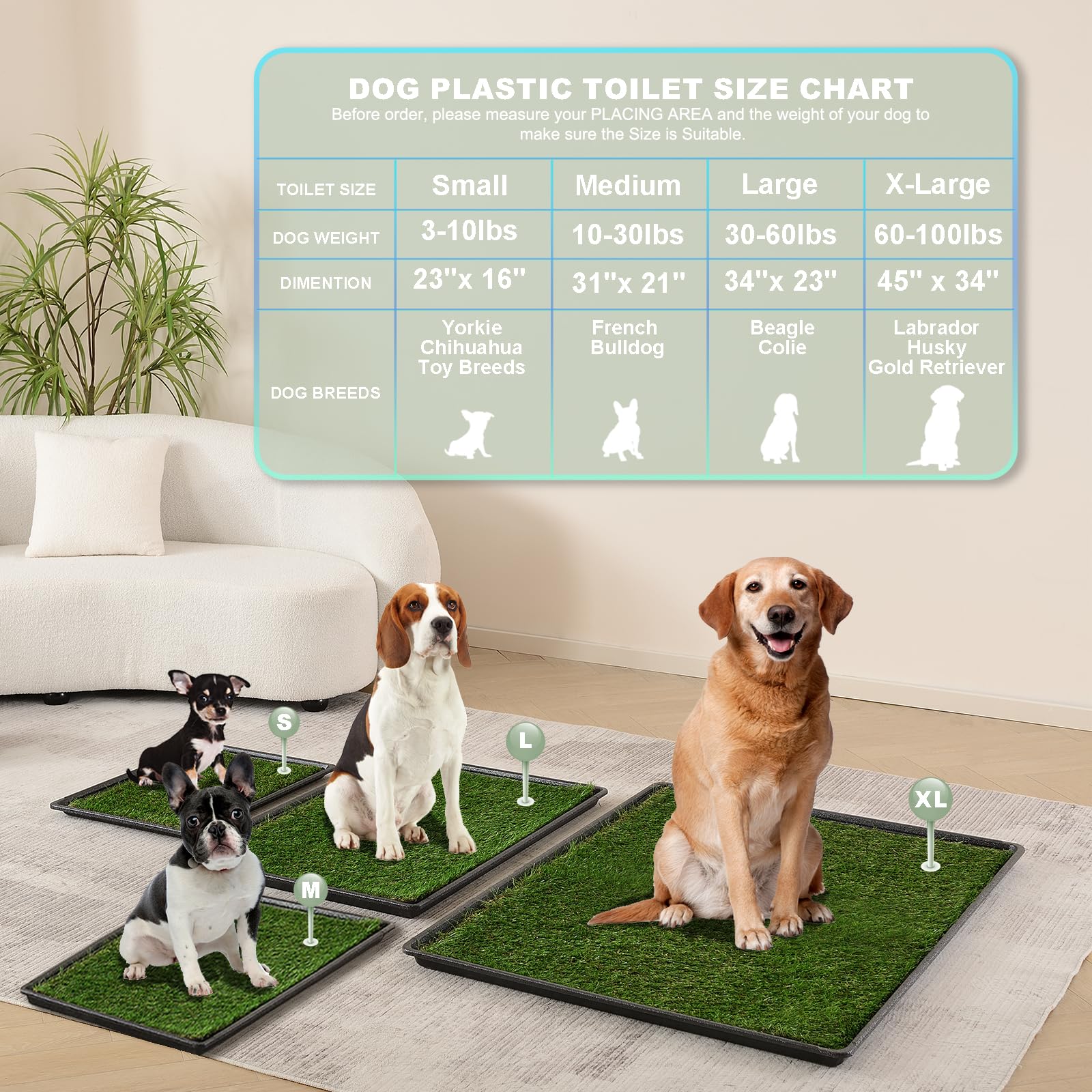 HQ4US 4LEGS Guide d entrainement doux pour familiariser le chien à l herbe.