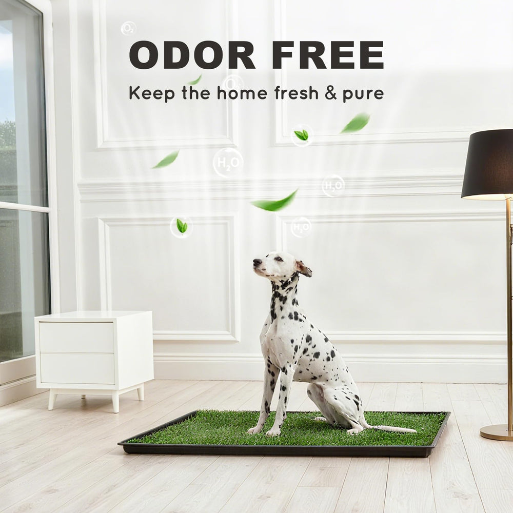 HQ4US 4LEGS Tapis herbe anti-odeur, maison plus fraîche.