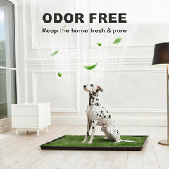 HQ4US 4LEGS Tapis herbe anti-odeur, maison plus fraîche.