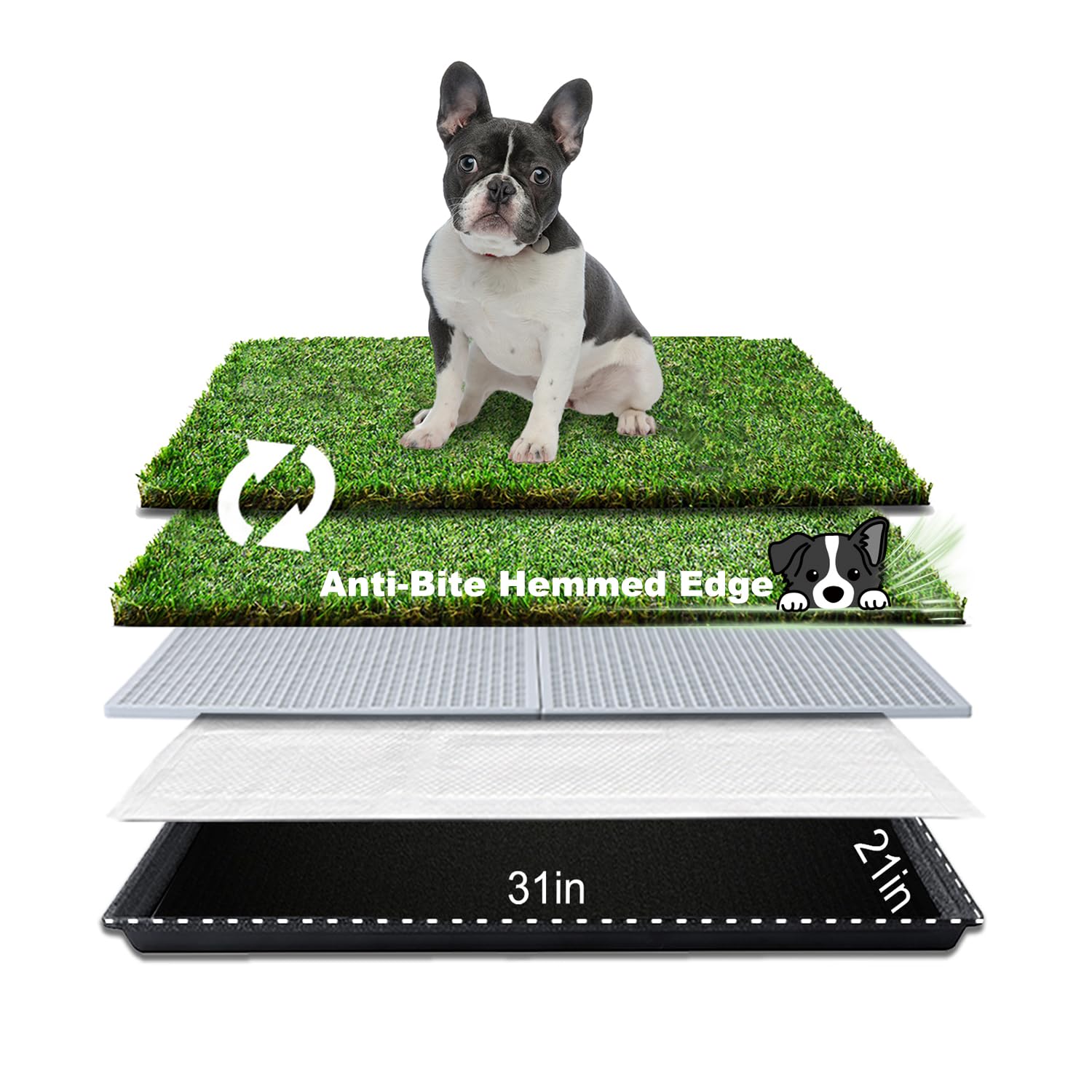 HQ4US 4LEGS Tapis herbe artificielle ensemble 31x21, pratique pour litière.