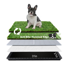 HQ4US 4LEGS Tapis herbe artificielle ensemble 31x21, pratique pour litière.