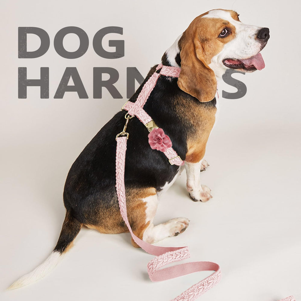 HQREA ensemble harnais et laisse dentelle rose pour un style coordonné