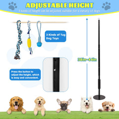 HQSLC mouvement-interactif-jouet-chien-exterieur, stimule l activité physique et l attention.