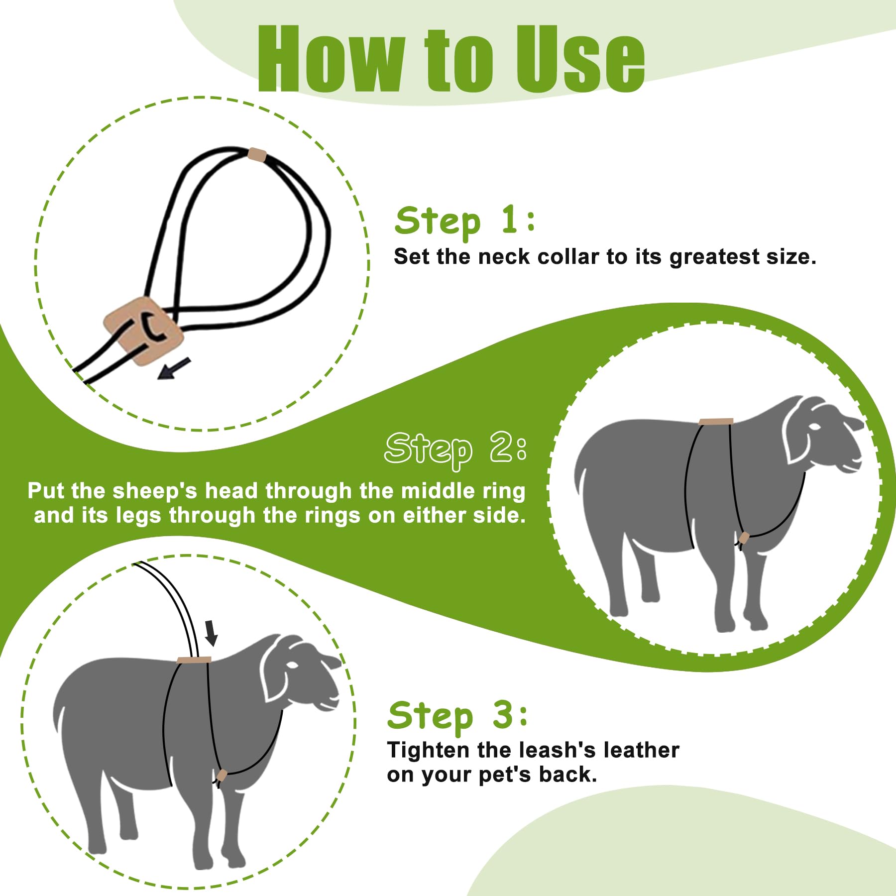 Utilisation quotidienne du harnais HRYOML pour chèvres et moutons.