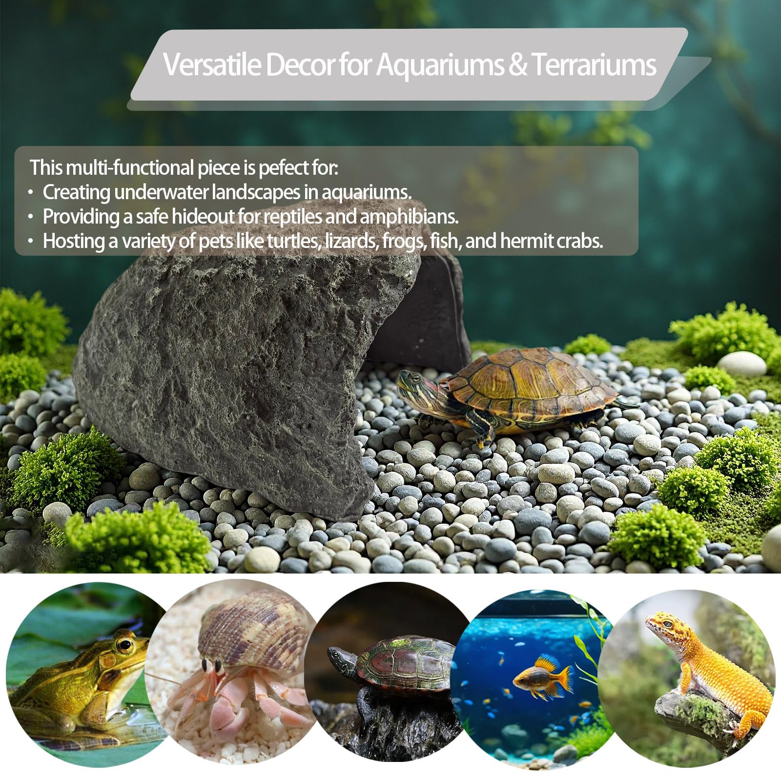 HSIFMATE design naturel améliore l'esthétique du terrarium.