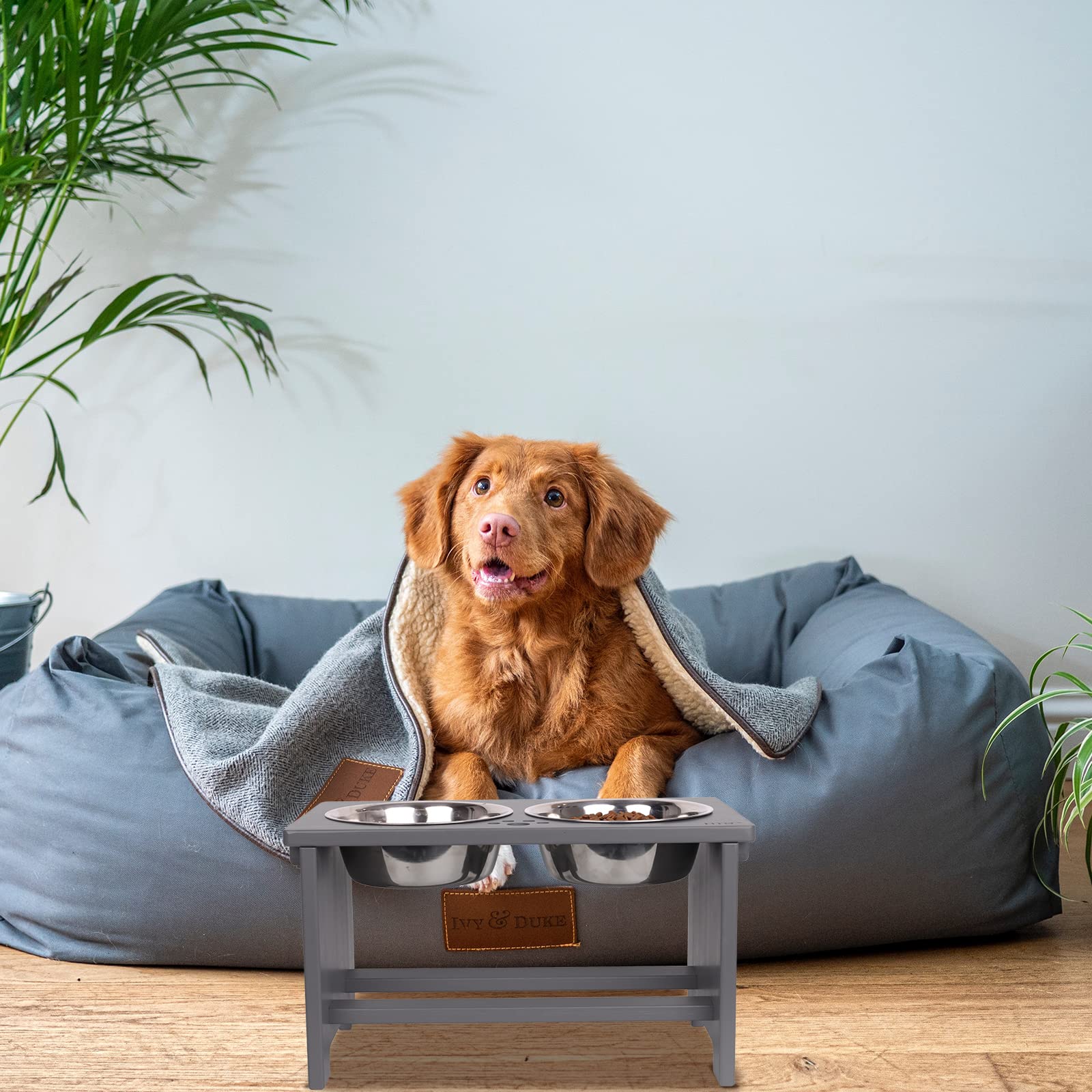 HTB adaptés à toutes tailles de chiens, du petit au grand.