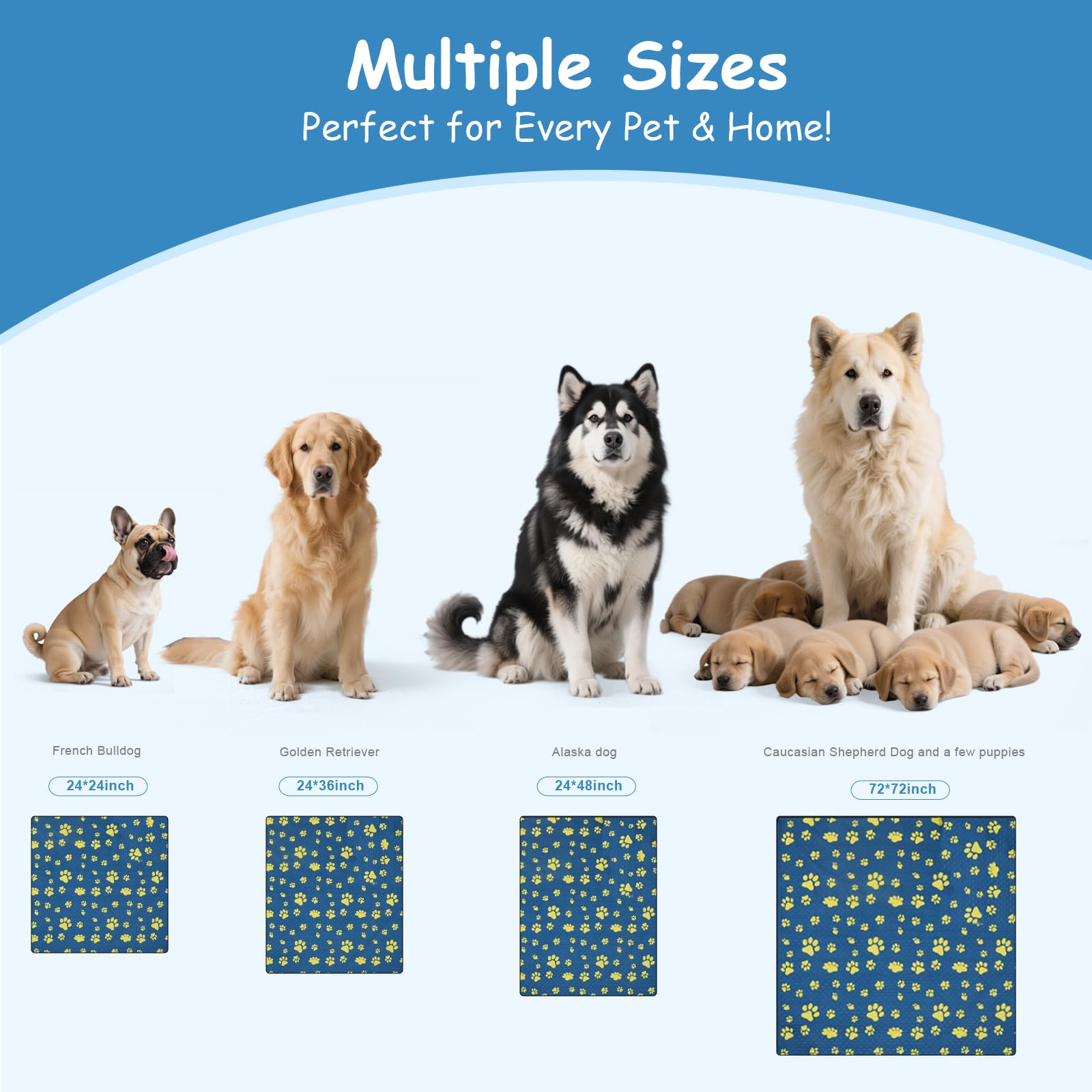 Utilisation polyvalente HuaZiChok: chien, chiot et chat en diverses configurations.