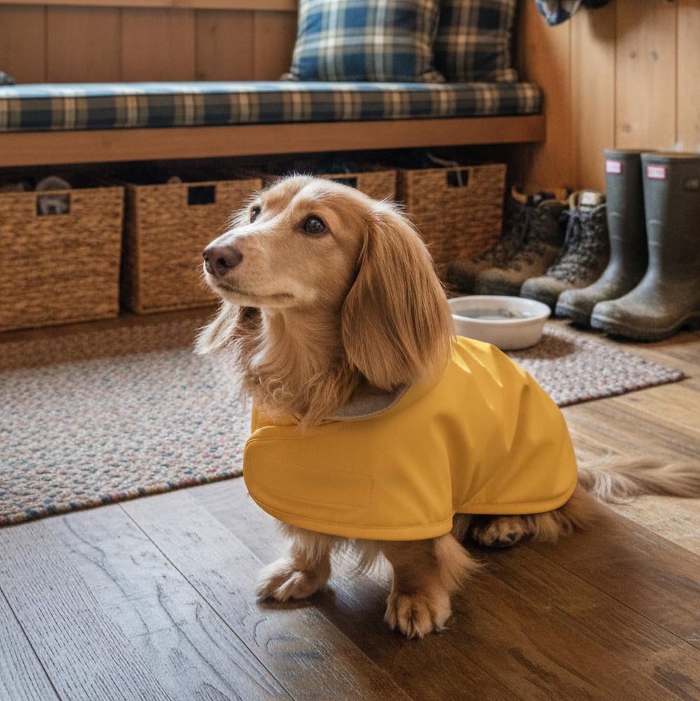 Hudson Hound guide tailles: trouvez facilement la bonne taille pour votre teckel.