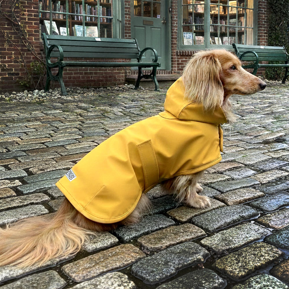 Manteau Hudson Hound en action — protection coupe-vent lors des promenades.