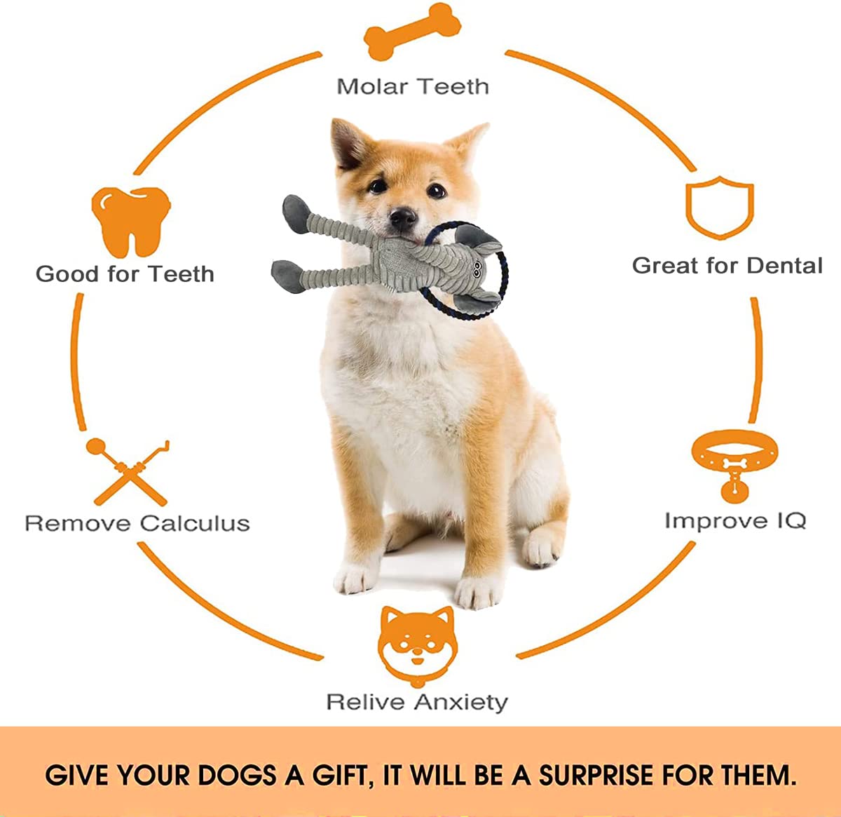 Jouet Hugeme activite longue duree pour chiens de toutes tailles.