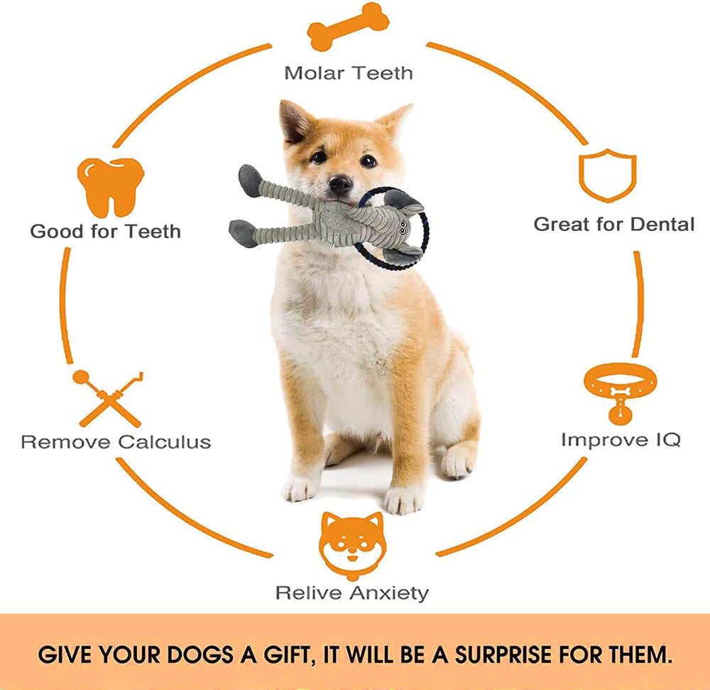 Jouet Hugeme activite longue duree pour chiens de toutes tailles.