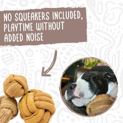 Jouet HuggleHounds en cuir pour sessions de jeu et de mâchage interactives.