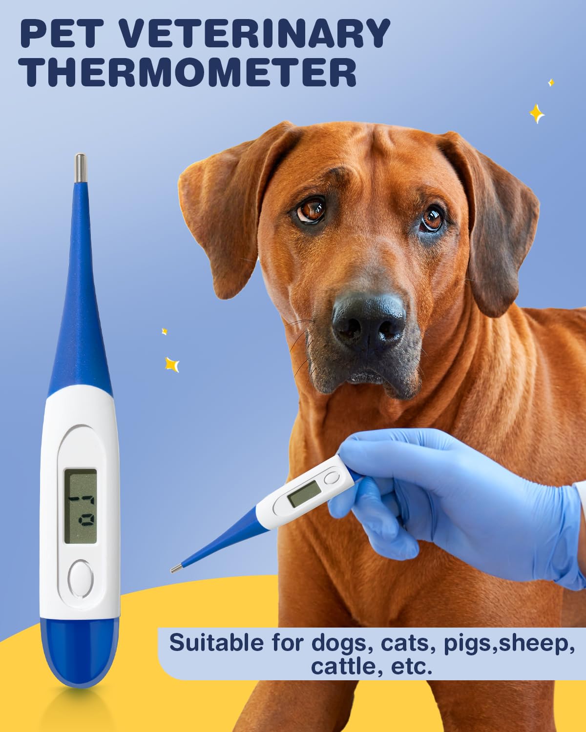 Huimpet tubes alimentation chiots, supports fiables pour les premiers apports.