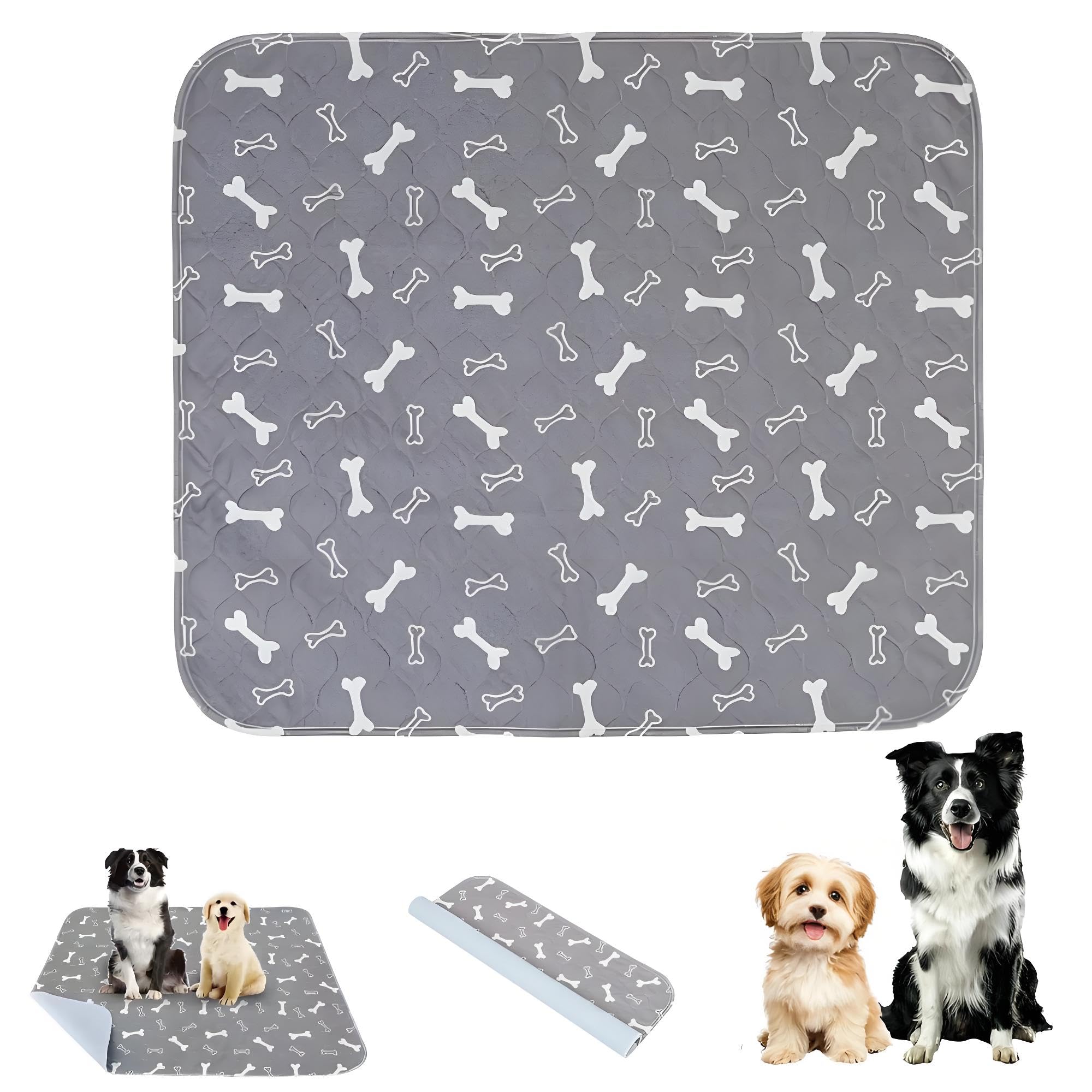 Tapis d'apprentissage Huiteng XR chiot avec stickers pheromones guide le chien vers le bon endroit