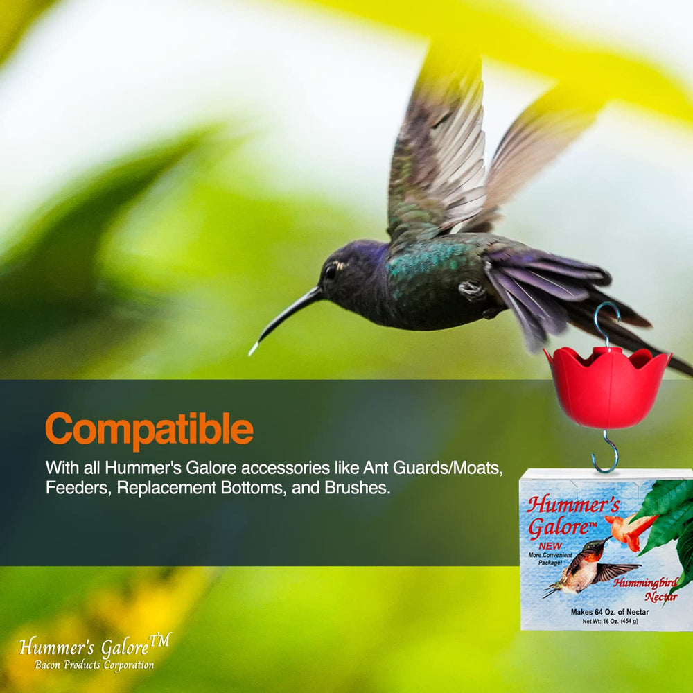 Formulation nutriments essentiels pour soutenir l’énergie des colibris