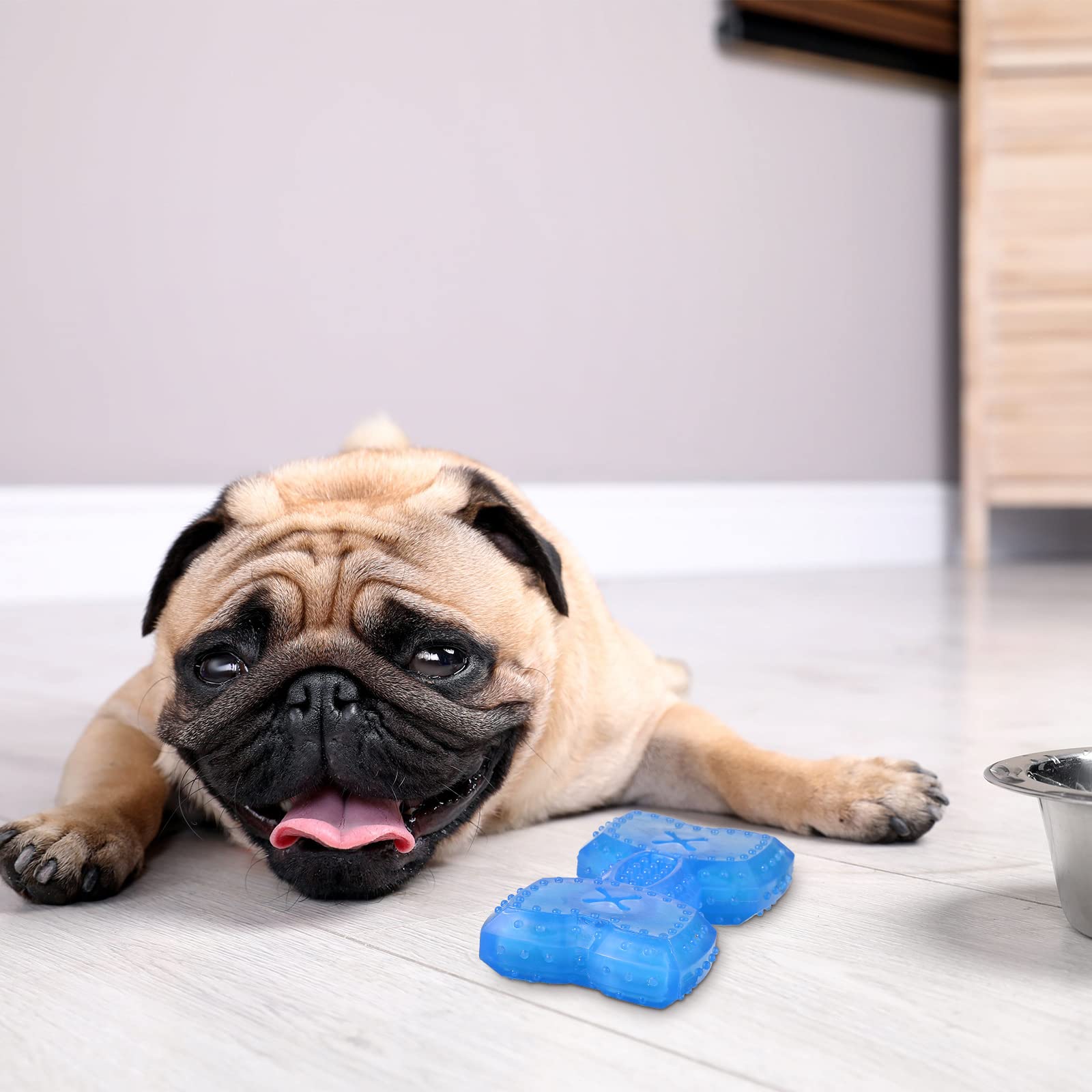 Hungdao anneau dentition chiot bleu, adapté pour chiots et petits chiens.