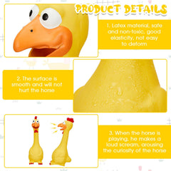 Détail de la texture du poulet sifflet Hungdao jaune