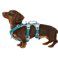 Huntboo harnais anti-évasion pour chien, visibilité nocturne améliorée.