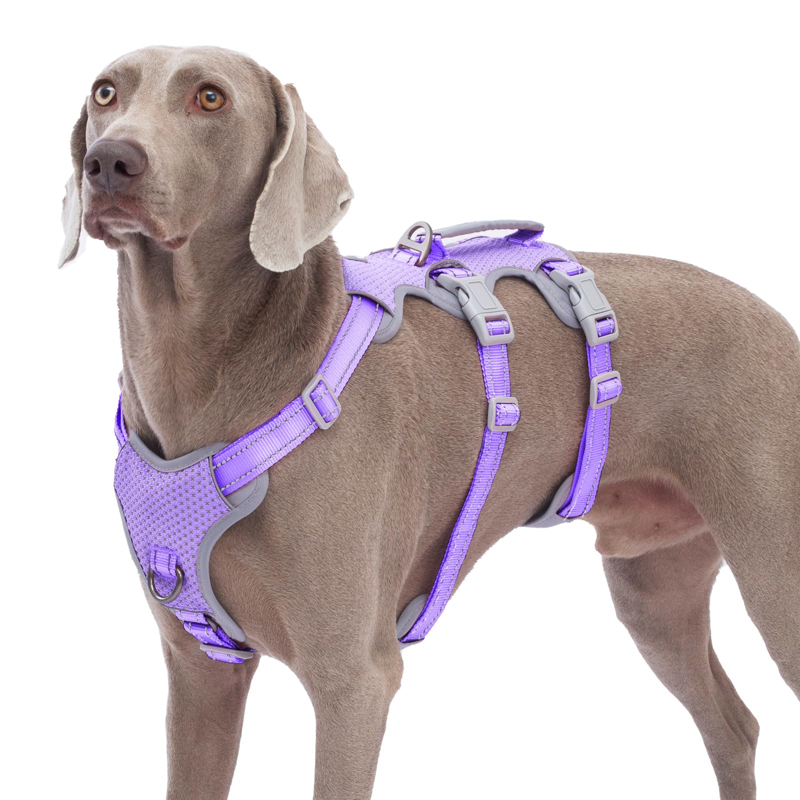 Huntboo harnais anti evasion avec poignee de levage, ideal pour franchir obstacles lors des sorties.