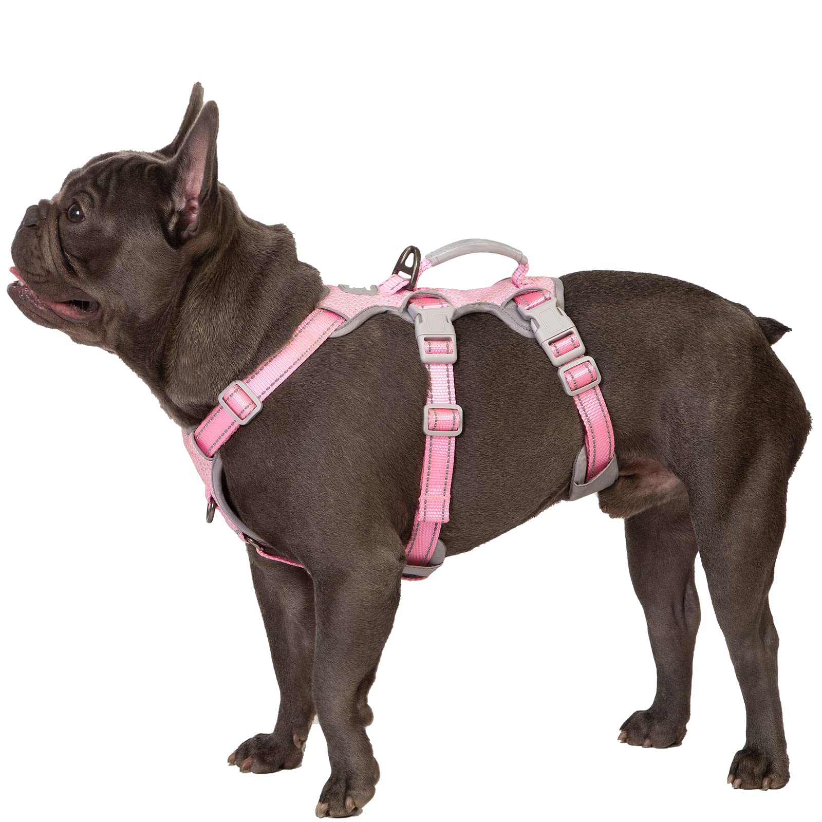 Huntboo harnais anti‑évasion pour chien, contrôle sûr lors des sorties nocturnes.