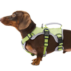 Huntboo Harnais anti-fuite pour chien vert, sécurité accrue lors des promenades.