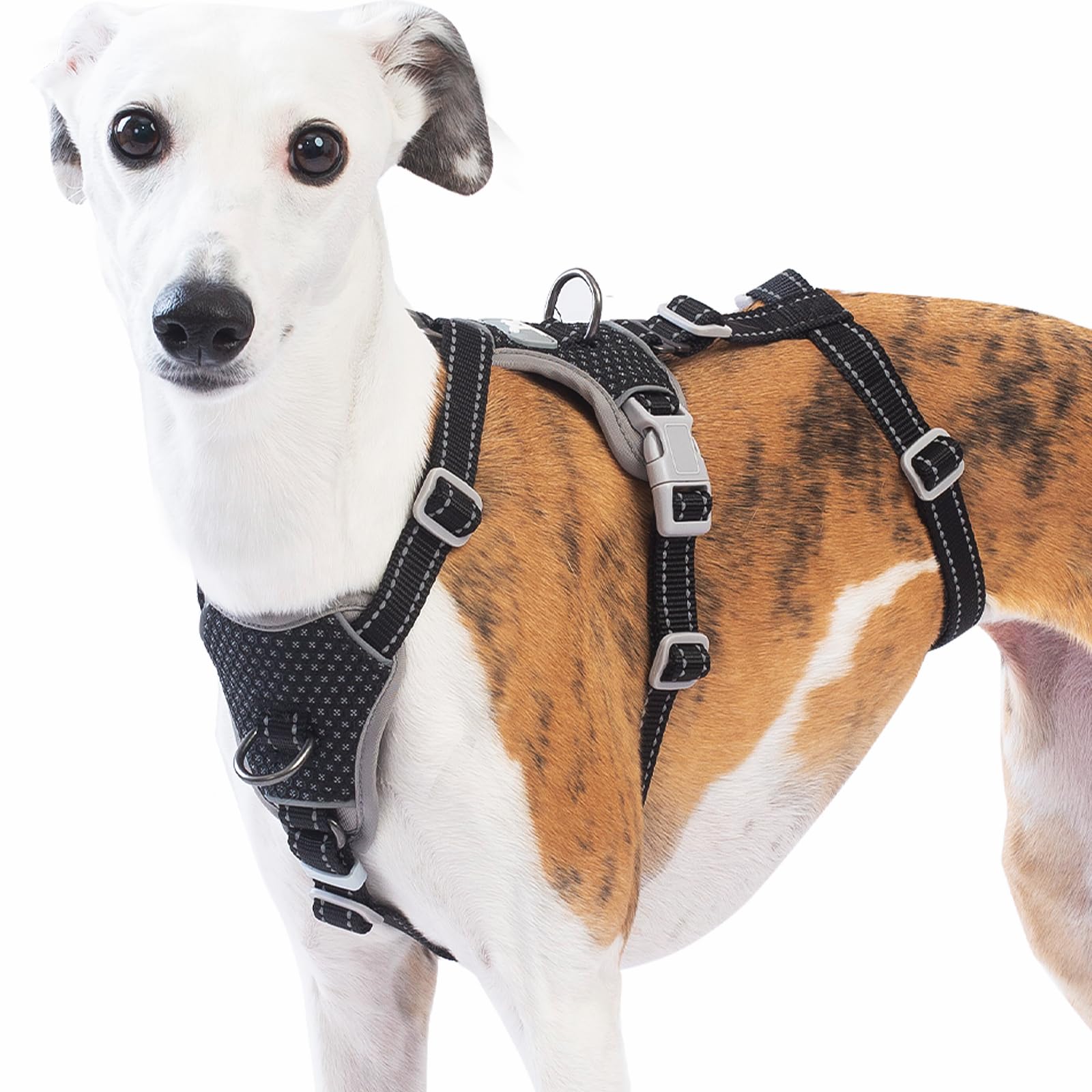 Huntboo harnais anti-évasion pour chien offrant sécurité et liberté de mouvement.