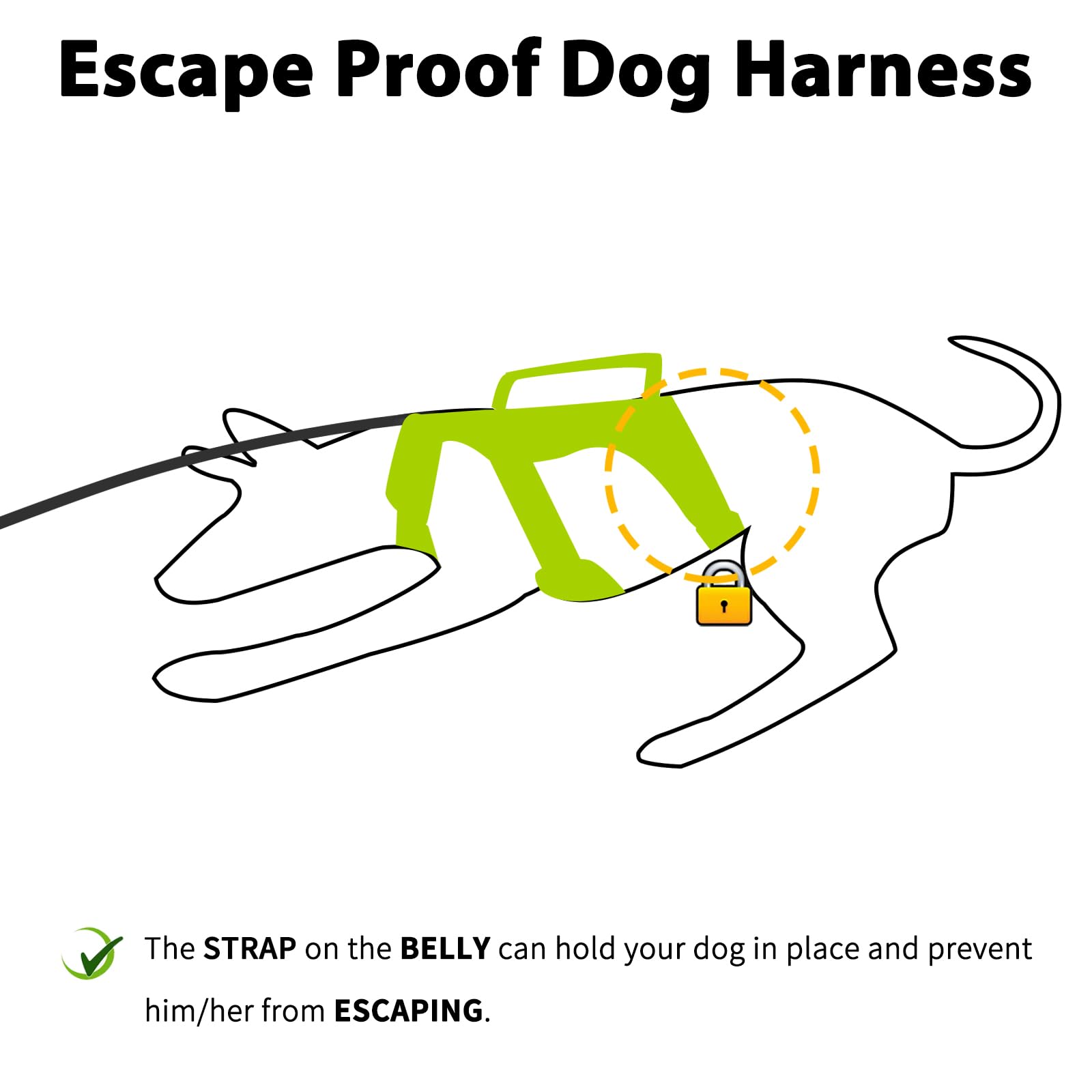 Huntboo Harnais réfléchissant pour chien, visibilité jour et nuit améliorée.