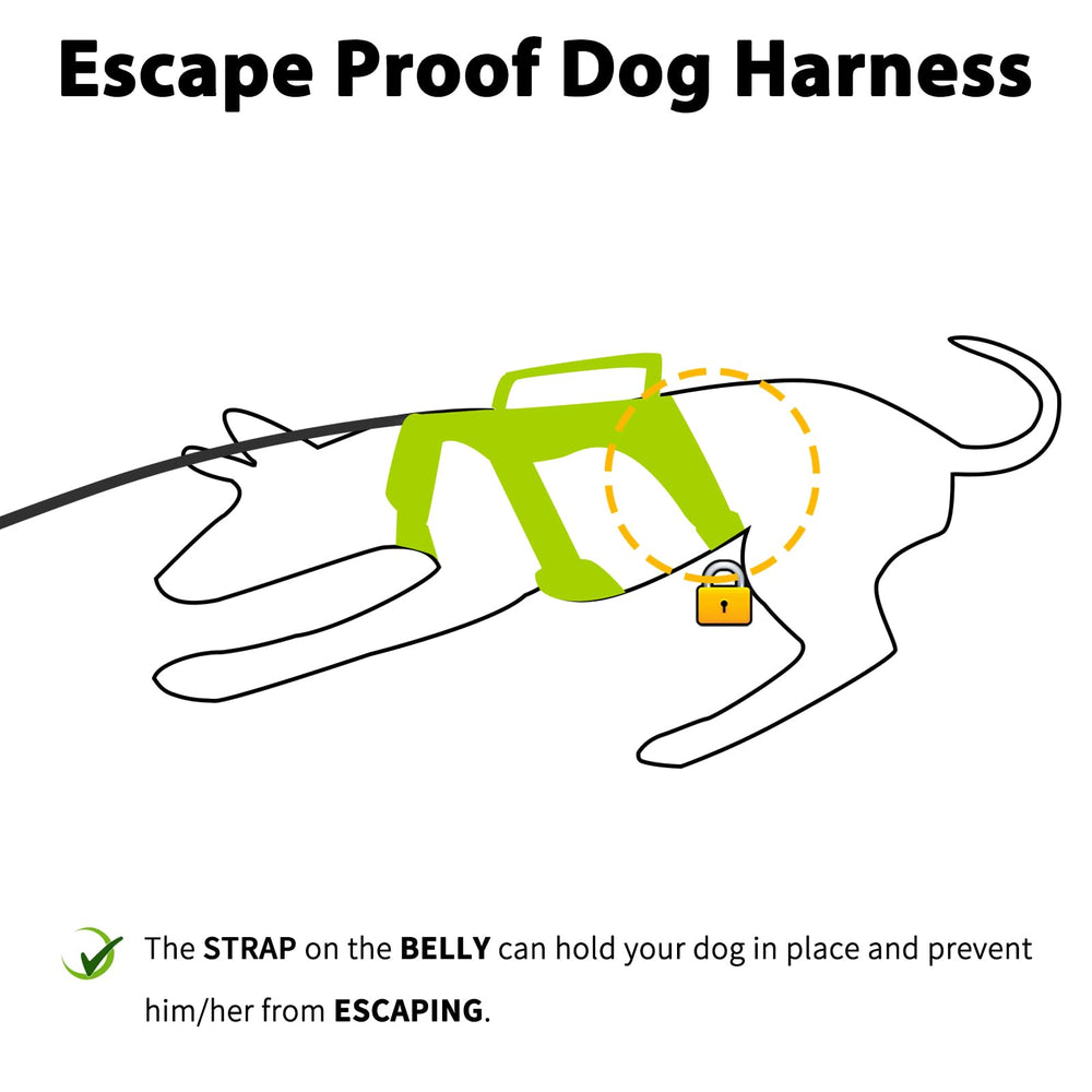 Huntboo Harnais réfléchissant pour chien, visibilité jour et nuit améliorée.