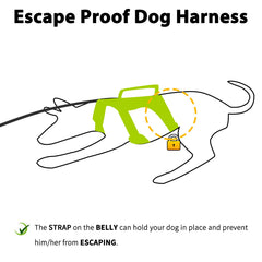 Huntboo Harnais réfléchissant pour chien, visibilité jour et nuit améliorée.
