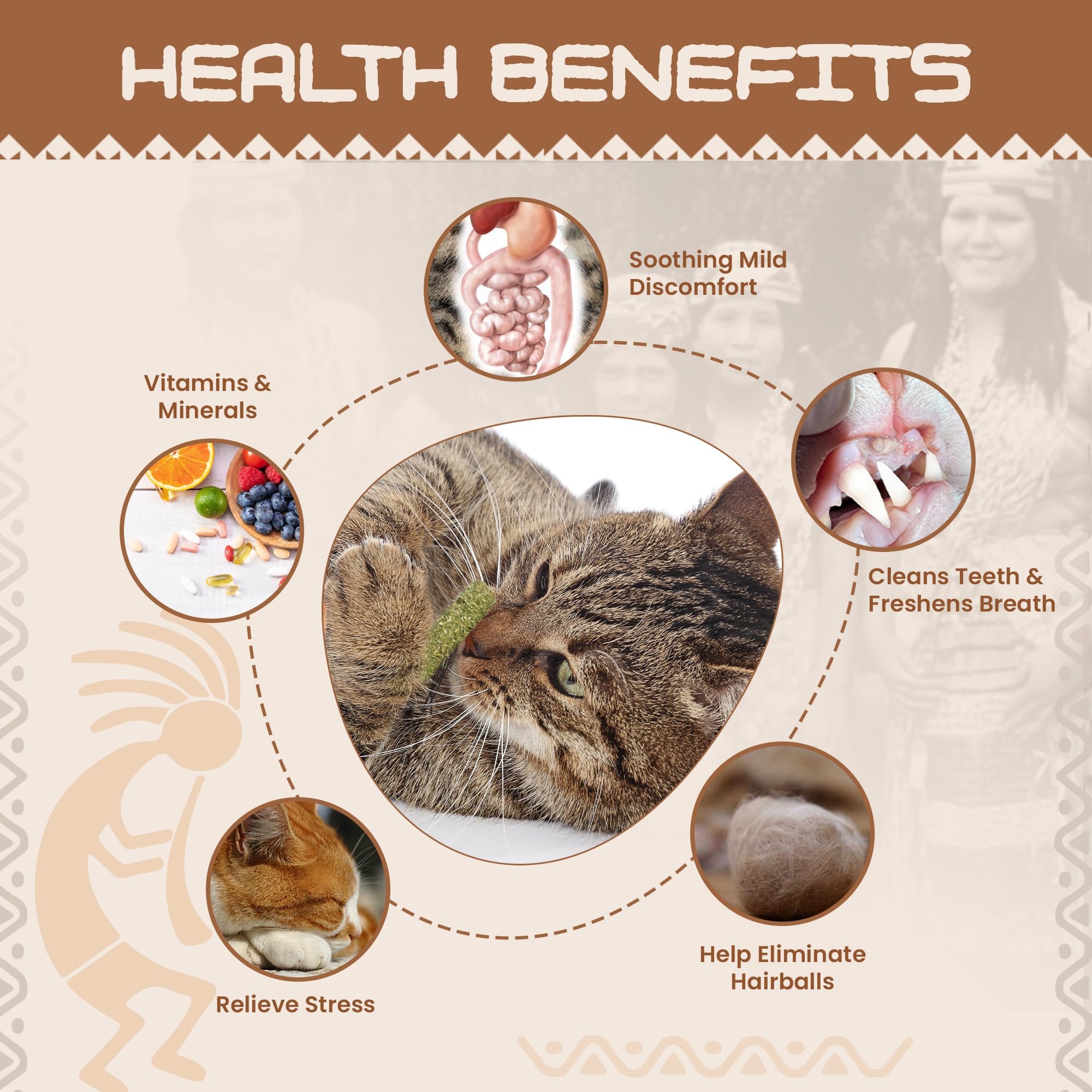 Bâtons HUPA mastication chat – dentition saine et nettoyage des dents.