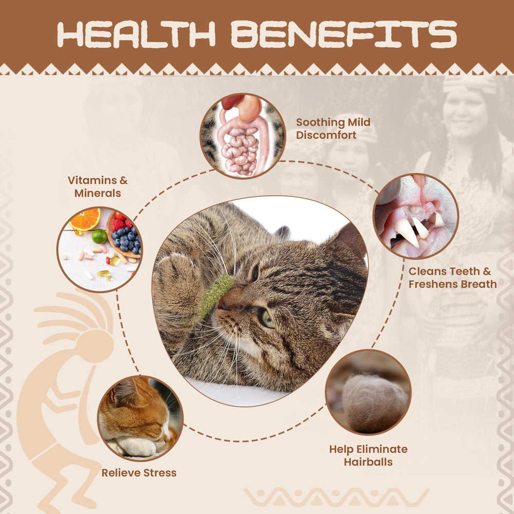 Bâtons HUPA mastication chat – dentition saine et nettoyage des dents.