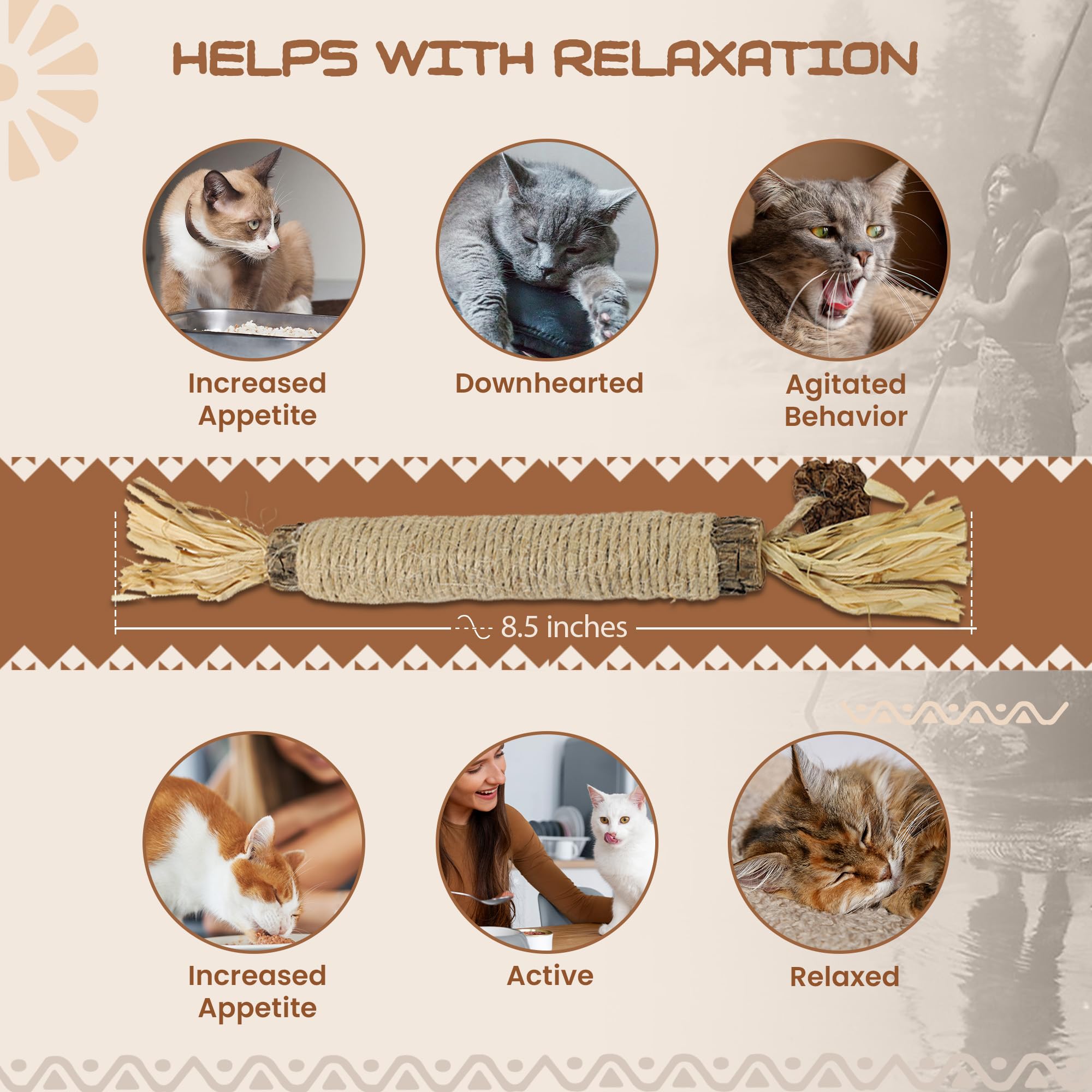 Bâtons Silvervine HUPA favorisant digestion et confort intestinal chez le chat.