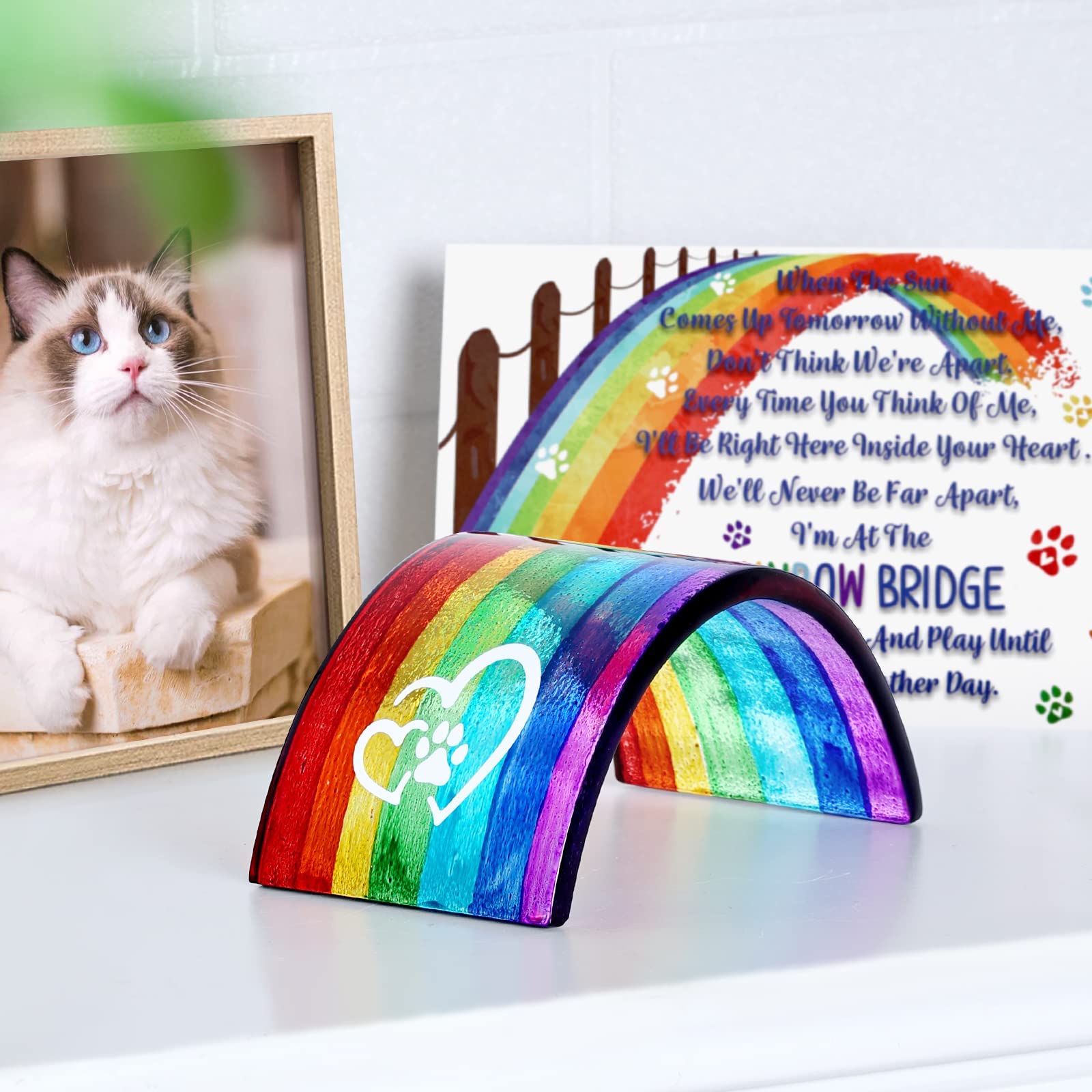 Coffret cadeau Huray Rayho avec pont et carte mémoire pour animaux
