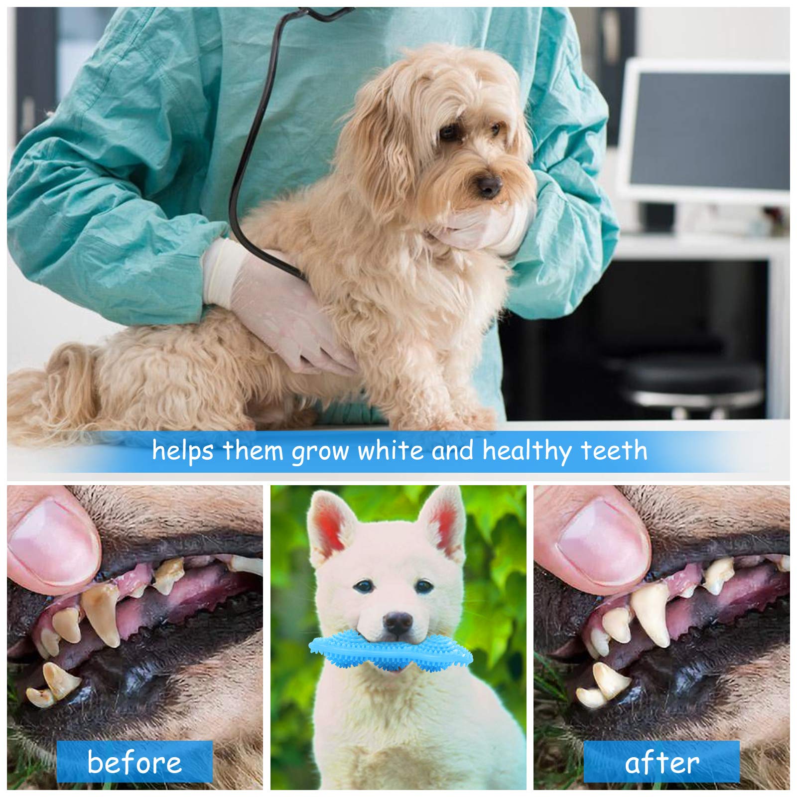 Jouet caoutchouc Hurray pour chiots, mordilage sûr et confortable