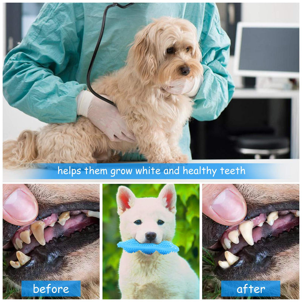 Jouet caoutchouc Hurray pour chiots, mordilage sûr et confortable