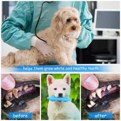 Jouet caoutchouc Hurray pour chiots, mordilage sûr et confortable