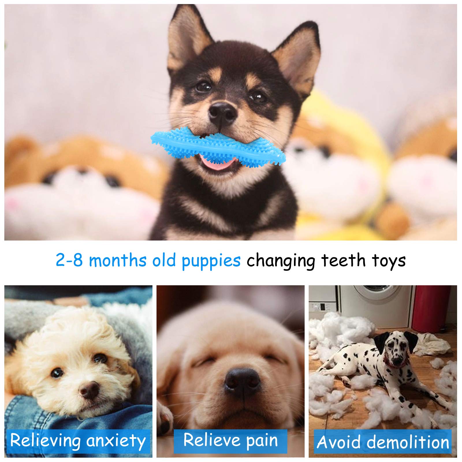Jouet dentition 360 degrés Hurray pour chiots, nettoyage molaire ciblé